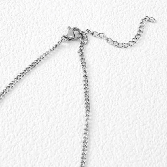 Silverr Layered Stainless Steel Necklace - Picture 5 of 6